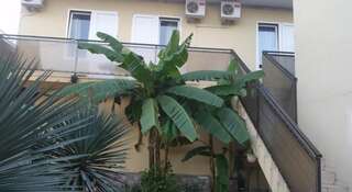 Гостиница Kristina Guest House Сочи Номер "Стандарт"-4