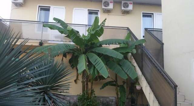 Гостиница Kristina Guest House Сочи-6